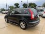 2007 Black /Black Honda CR-V EX-L 2WD AT (JHLRE387X7C) with an 2.4L L4 DOHC 16V engine, 5A OD transmission, located at 1501 West 15th St., Houston, 77008, (713) 869-2925, 29.797941, -95.411789- Photo#7
