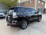 2014 Black /Brown Lexus GX 460 Premium (JTJJM7FX7E5) with an 4.6L V8 DOHC 32V engine, 6A transmission, located at 1501 West 15th St., Houston, 77008, (713) 869-2925, 29.797941, -95.411789- Photo#3
