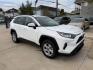 2021 White /Gray Toyota RAV4 XLE AWD (2T3P1RFVXMC) with an 2.5L L4 DOHC 16V engine, 8A transmission, located at 1501 West 15th St., Houston, 77008, (713) 869-2925, 29.797941, -95.411789- Photo#2